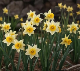 Obraz premium Dainty daffodil stems swaying gently in the breeze, , garden scenery