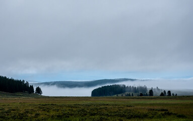 Fog Wafts Over Yellowstone River in Hayden Valley