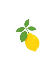 illustration vectoriel d'un citron jaune avec des feuilles