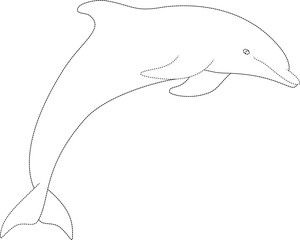 Dolphin splash scene tracing vector