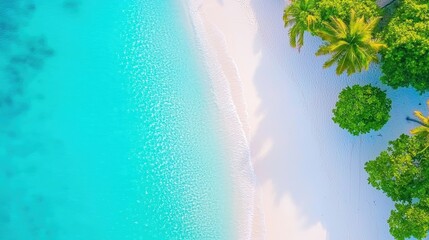 Summer Beach Scenes Aerial view of a tropical beach with palm trees, white sand, and crystal clear water, showcasing the beauty and tranquility of a summer paradise.
