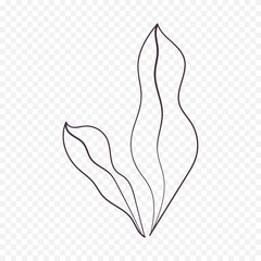 Hand drawn spring flowers illustration. floral illustration	