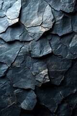 textured black paper surface with intricate creases and wrinkles poster design
