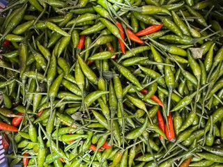 Fresh green cayenne pepper with some ripe ones being red, has a very spicy taste