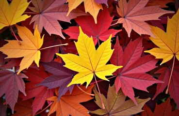 Autumn leaves create colorful display. Vibrant reds oranges, yellows mix in pile of fallen leaves. Bright yellow leaf stands out amidst colors. Autumn foliage scene offers beautiful fall nature