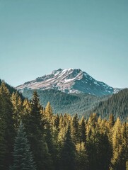 Majestic View of Mount Rainier Surrounded by Evergreen Forests