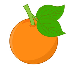 orange fruit with leaves