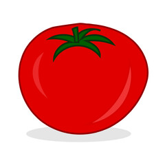 illustration of a tomato wit shadow