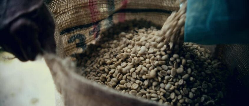 Coffee Farming Production Colombia Organic Beans 