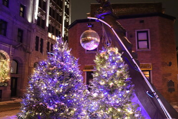 Christmas background with little lights and fir branch. Decoration in a Christmas tree. Christmas time and advent event with holidays. December calendar with Christmas lighting. December events.