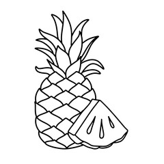 whole fresh pineapple and small slices. Thin line illustration