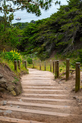 Winding Trail in Land's End Park, San Francisco California