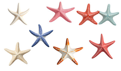 Colorful starfish display coastal beach nature photography underwater environment aesthetic viewpoint marine life concept