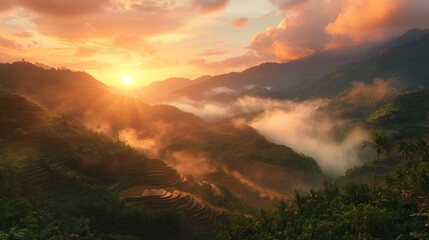 Obraz premium Sunset over misty rice terraces, golden light.
