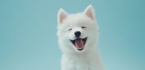 Happy white puppy smiling against a light blue background.