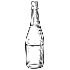 Beer Bottle Design Handdrawn Illustration