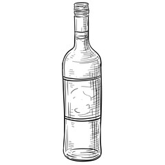 Beer Bottle Design Handdrawn Illustration