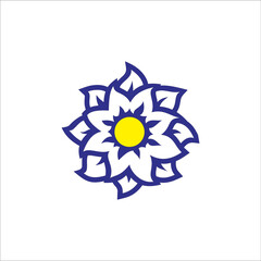 Blue, yellow flowers with white background 