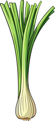 leek