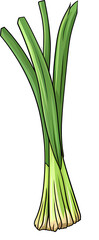 leek
