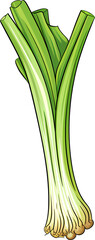 leek