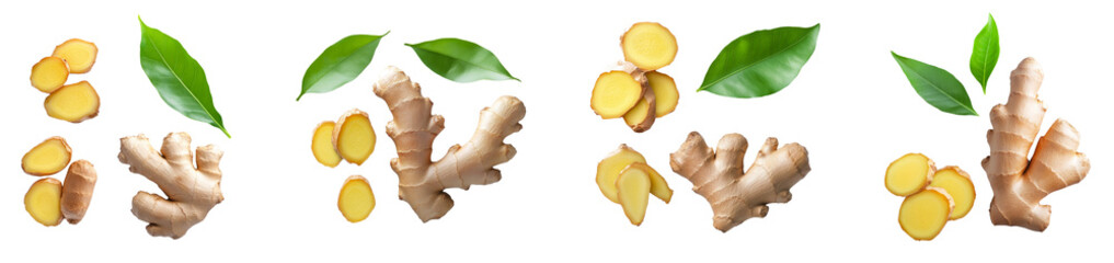 High-Quality PNG Ginger with leaves Isolated on White Background &ndash; High Resolution