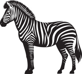 Zebra Vector, Zebra silhouette vector illustration, Zebra isolated vector icon