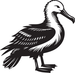 Fototapeta premium Albatross silhouette vector illustration, Albatross vector design