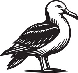 Fototapeta premium Albatross silhouette vector illustration, Albatross vector design