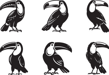 Toucan vector art, Toucan silhouette vector illustration design © Hai