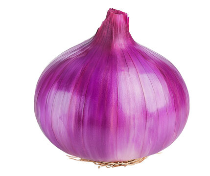 High-Quality PNG red onion Isolated on White Background – High Resolution