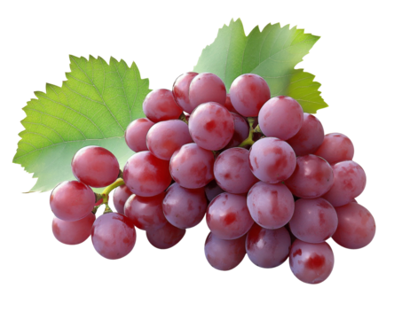 Red grape with leaves  on white, Bunch of fresh red juicy grapes on white, With clipping path.