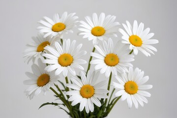 Fototapeta premium there are many white daisies in a vase on a table