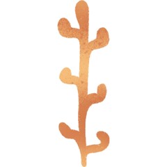 Abstract wallpaper icon leaf and plant summer walldecor and art