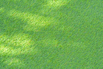 人工芝に木漏れ日