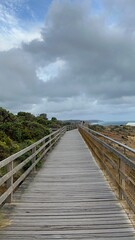 Twelve Apostle Lookouts - Walkway / Trail in Great Ocean Road 