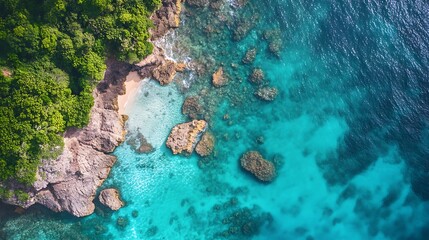 Tropical Beach Cove, Aerial View. Concept of Paradise, Relaxation, and Travel.