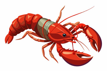 High-angle  view of American lobster white background vector art illustration