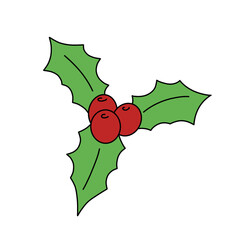 christmas and new year