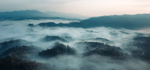 Aerial view of forest and morning fog in a tropical rainforest in Asia
