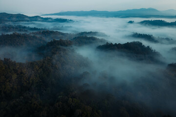 Aerial view of forest and morning fog in a tropical rainforest in Asia