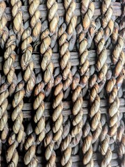 close up of a pile of dried fish