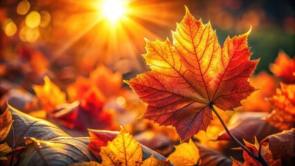 Golden hour sunset bathes autumn leaves in fiery hues, a stunning nature backdrop.