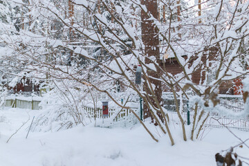Winter garden scene with snow-covered branches, a homemade bird feeder, and white picket fence. The...