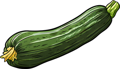Zucchini