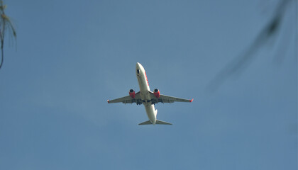 airplane in flight