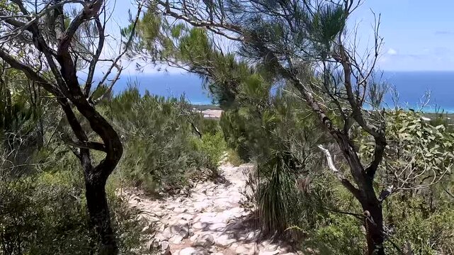 Mount Coolum Summit Trail: steep climb with rock steps and coastal views of Sunshine Coast, Queensland