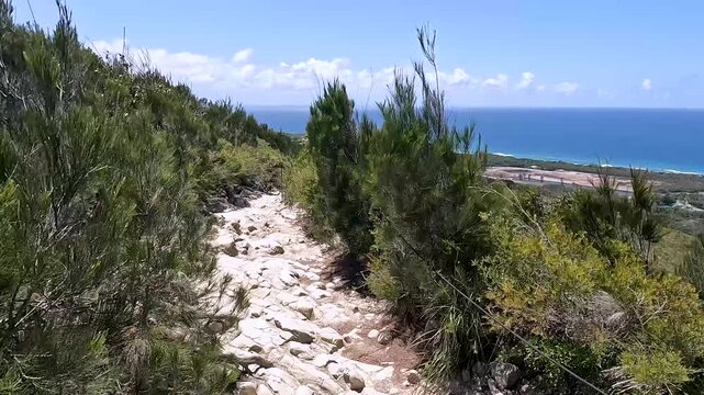 Mount Coolum Summit Trail: steep climb with rock steps and coastal views of Sunshine Coast, Queensland