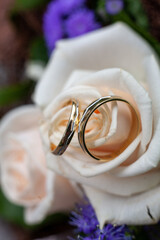 Stunningly beautiful wedding rings elegantly placed on a delicate cream rose, ideal for romance and...