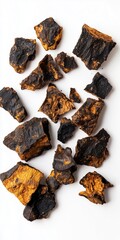 Dried chaga mushroom chunks on white background